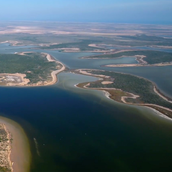 Laguna Madre